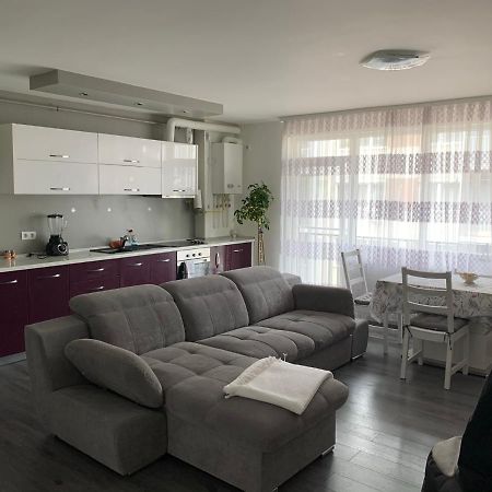 Stefanos Apartament Baia Mare Buitenkant foto
