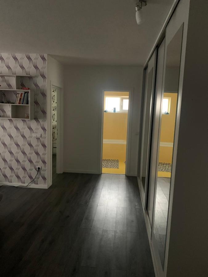 Stefanos Apartament Baia Mare Buitenkant foto