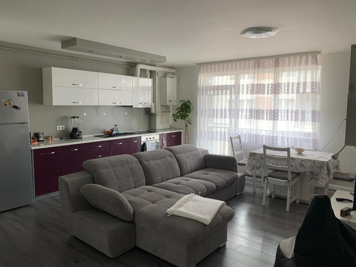 Stefanos Apartament Baia Mare Buitenkant foto